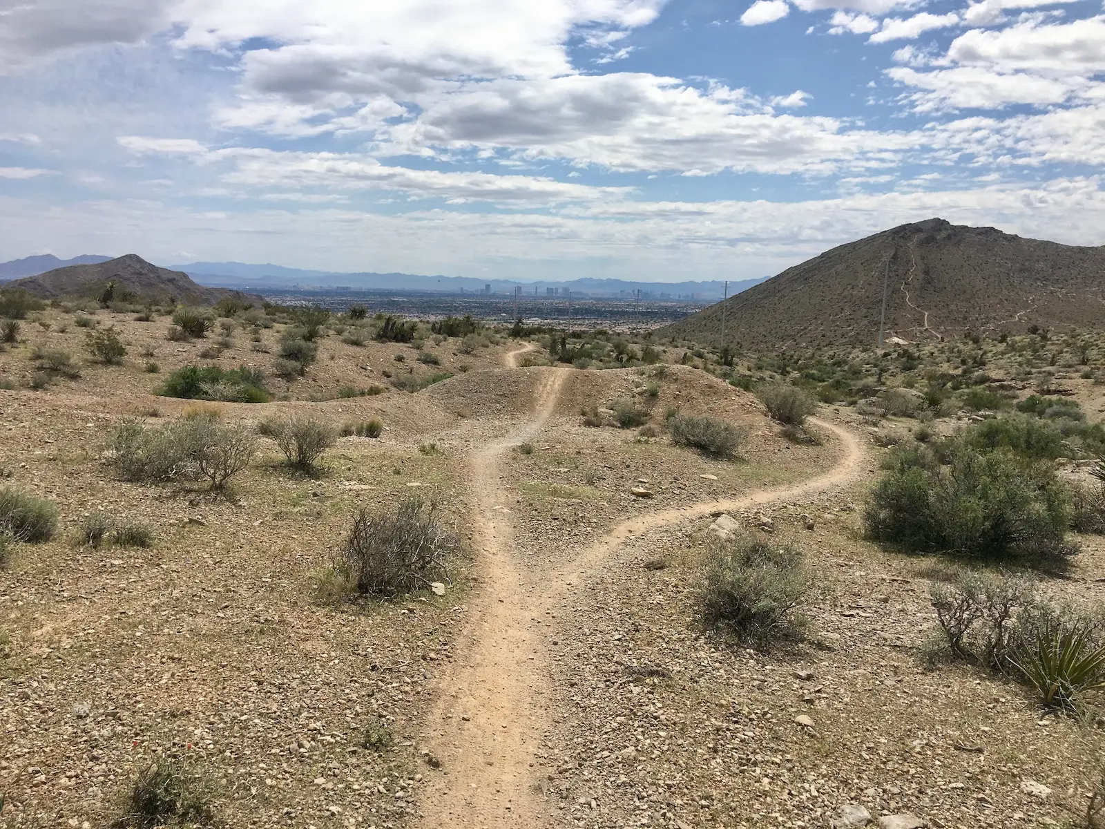 Flowing singletrack winding through The Burbs trail system