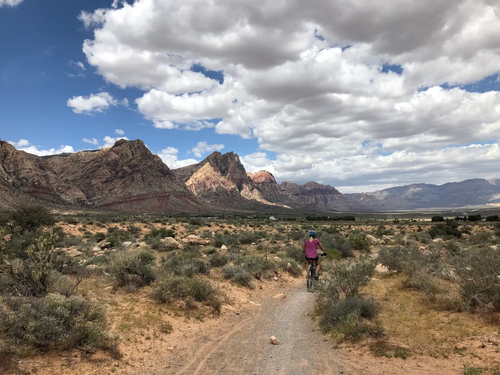 Cyclist riding through Cottonwood Valley with mountains in background